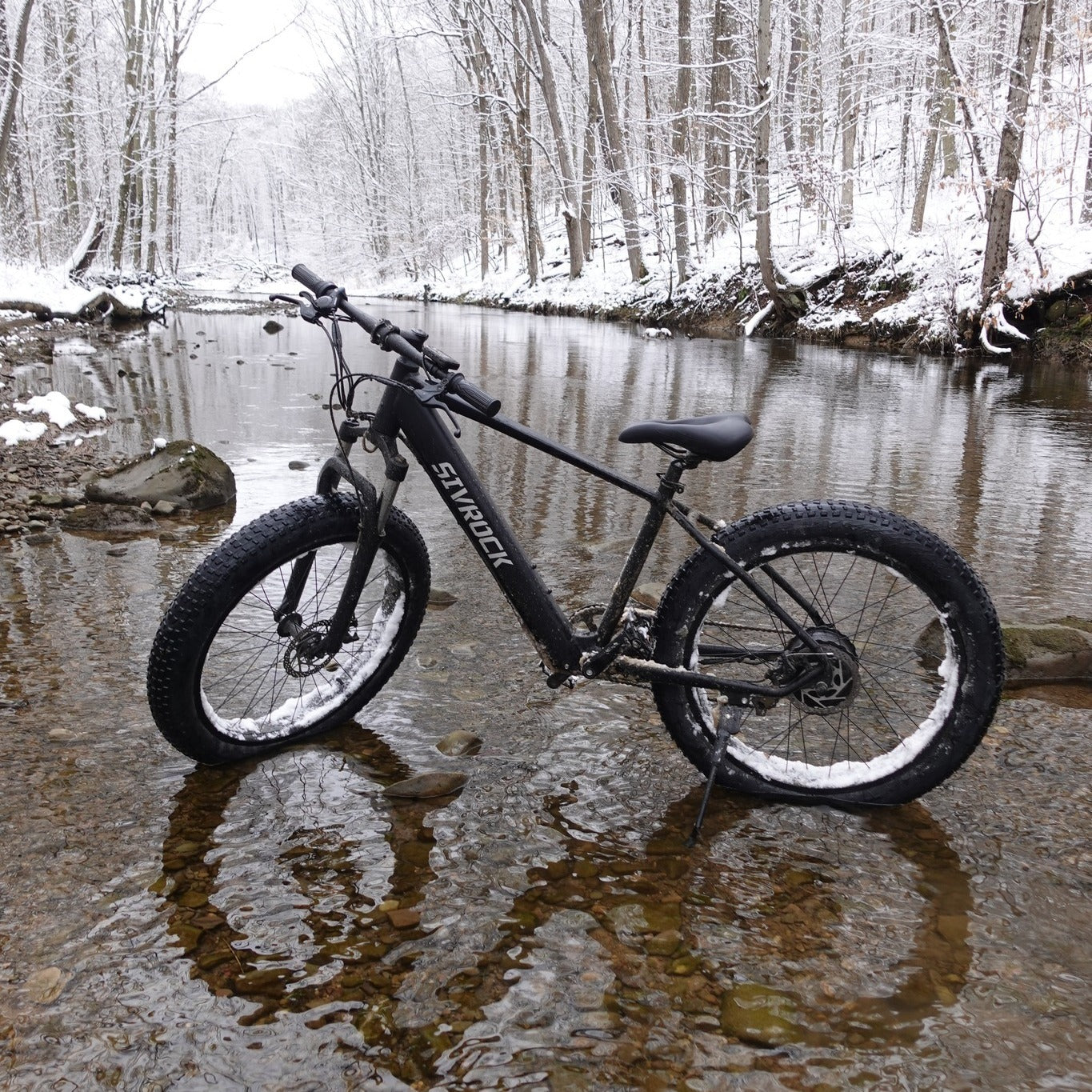 Professional Electric Mountain Bike – 26" Fat Tires, 1000W Motor, 48V 15Ah Ebike for Adults