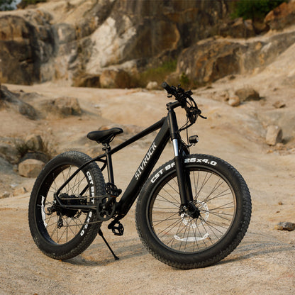 Professional Electric Mountain Bike – 26" Fat Tires, 1000W Motor, 48V 15Ah Ebike for Adults